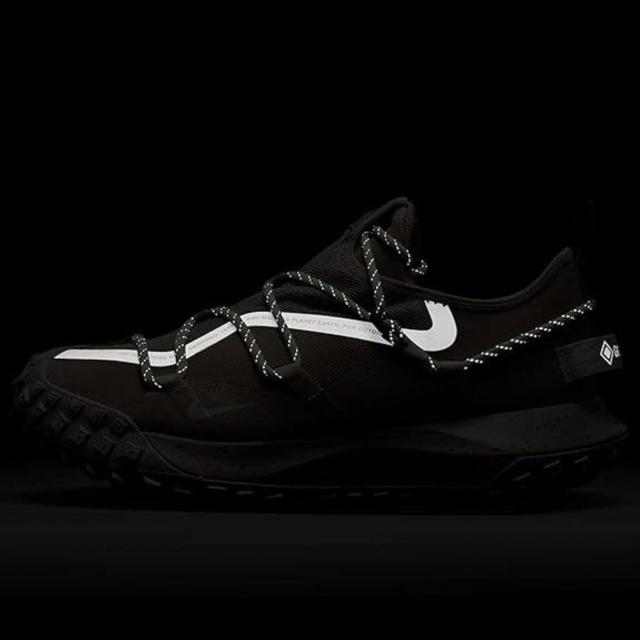 ナイキ] ACG マウンテン フライ ロー [ACG MOUNTAIN FLY LOW