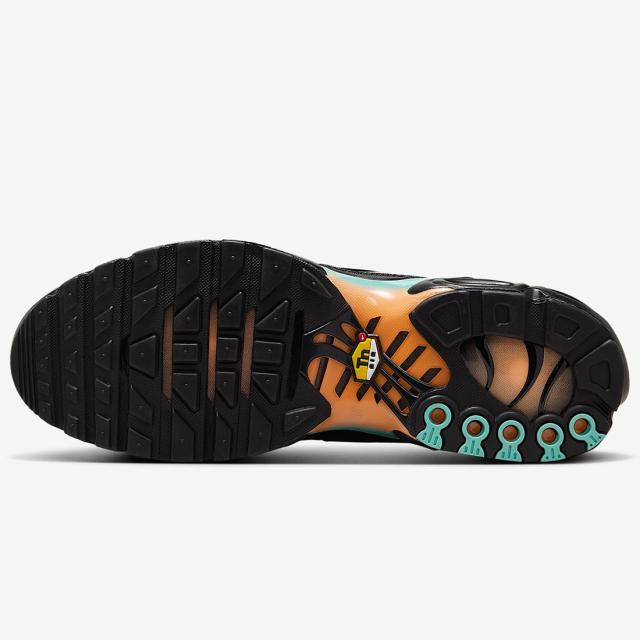 ナイキ] エア マックス プラス [AIR MAX PLUS] ブラック/オーロラ