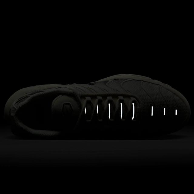 ナイキ] エア マックス プラス [AIR MAX PLUS] ライトオールウッド