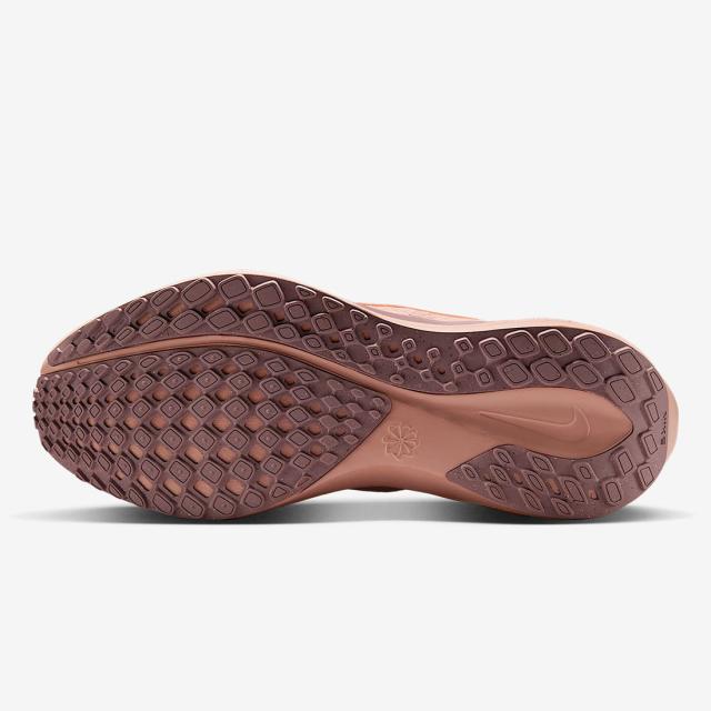 ナイキ] ペガサス イージーオン [W Pegasus EasyOn] シルトレッド