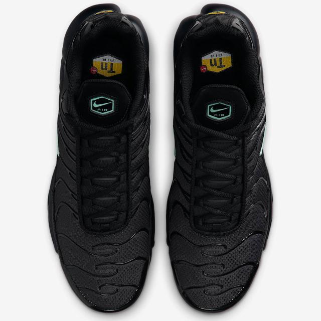 [ナイキ] エア マックス プラス [AIR MAX PLUS] ブラック/ダークスモークグレー/ミントフォーム DM0032-029_3