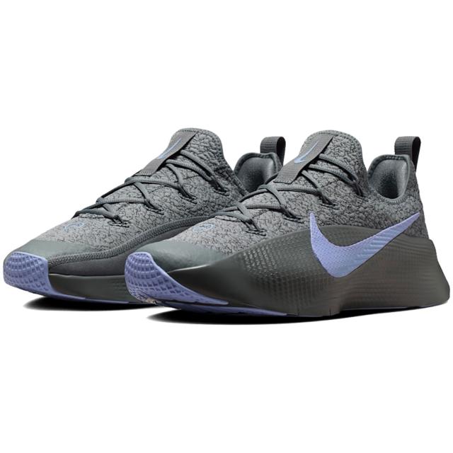 [ナイキ] レブロン TR 1 [LEBRON TR 1] クールグレー/アイアングレー/アルミニウム FJ6151-008