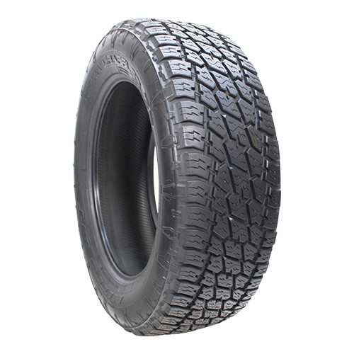 サマータイヤ NITTO TERRA GRAPPLER G2 305/50R20【2022年製】