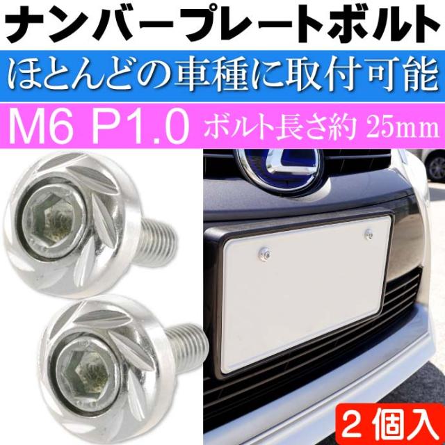 送料無料 ナンバープレートボルト ネジ カラーワッシャー 銀2個 As1754の通販はau Pay マーケット Ase 全品送料無料