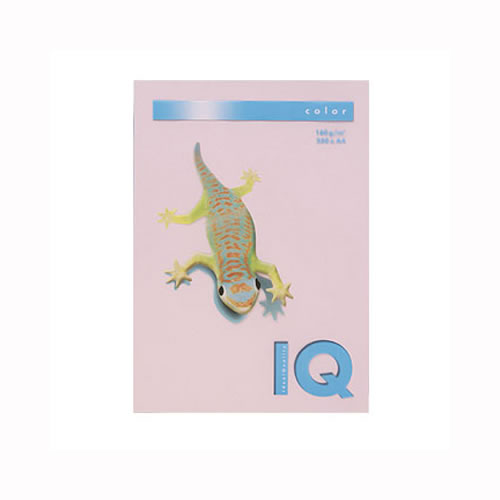 ☆まとめ買い☆伊東屋 バイオトップカラーA4(250枚入) BT831 フラミンゴ ×5