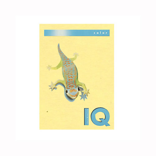 ★まとめ買い★伊東屋　バイオトップカラーA4(500枚入)　BT503　イエロー　×5個【返品・交換・キャンセル不可】【...