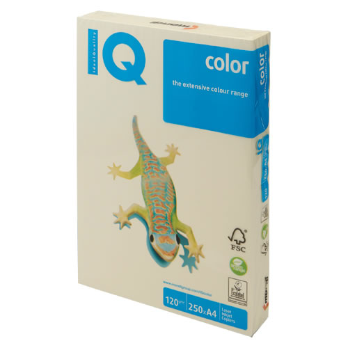 ★まとめ買い★伊東屋　バイオトップカラーA4(250枚入)　BT730　バニラ　×5個【返品・交換・キャンセル不可】【イ...の通販は