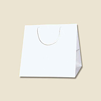 ブライトバッグ　Ｃ０　白　５束（５０枚）【イージャパンモール】