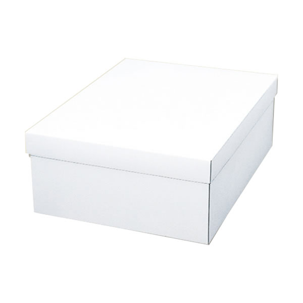 白無地箱　カバン箱　Ｃ　５束（５０枚）【イージャパンモール】の通販は