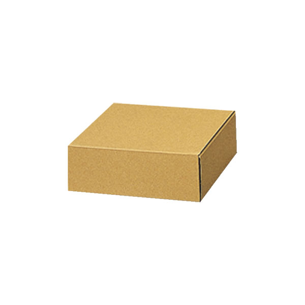 ナチュラルＢＯＸ　Ｚ−１５　５束（５０枚）【イージャパンモール】の通販は