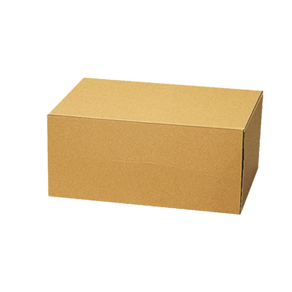 ナチュラルＢＯＸ　Ｚ−１８　５束（５０枚）【イージャパンモール】の通販は