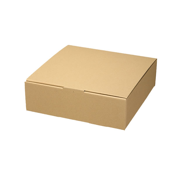 ナチュラルＢＯＸ　ＥＣＯ・Ｚ−５　５束（５０枚）【イージャパンモール】