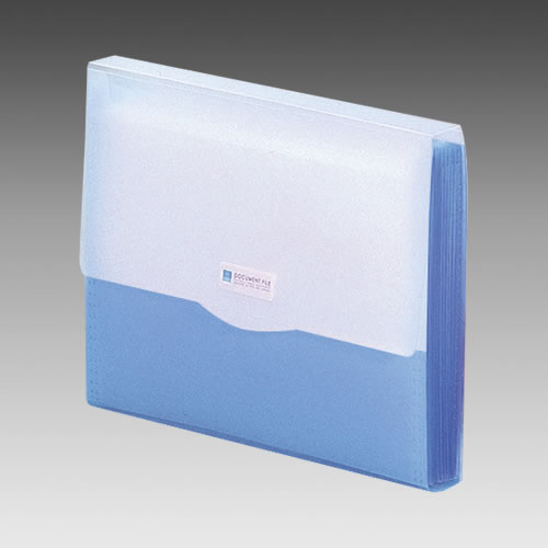 ★まとめ買い★リヒトラブ　リクエスト・ドキュメントファイル　青　G5610-8　×10個【返品・交換・キャンセル不可】【...の通販は