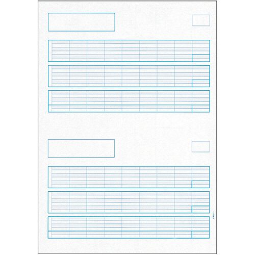 【送料無料】【個人宅届け不可】【法人（会社・企業）様限定】給与明細書A　罫線あり　1箱(500枚)【イージャパンモール】