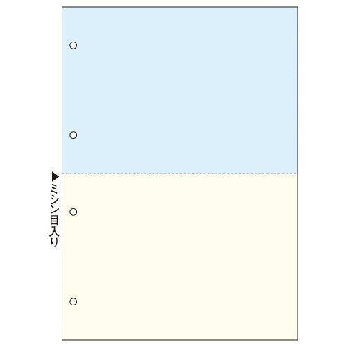 【送料無料】【個人宅届け不可】【法人（会社・企業）様限定】マルチプリンタ帳票 複写タイプ A4 ノーカーボン カラー 2...の通販は