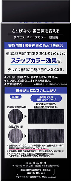 ☆まとめ買い☆ サクセス ステップカラー 110g ×24個【イー