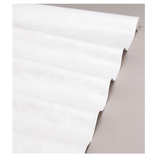 ベックスハードタイプ　３０ｍ【返品・交換・キャンセル不可】【イージャパンモール】の通販は