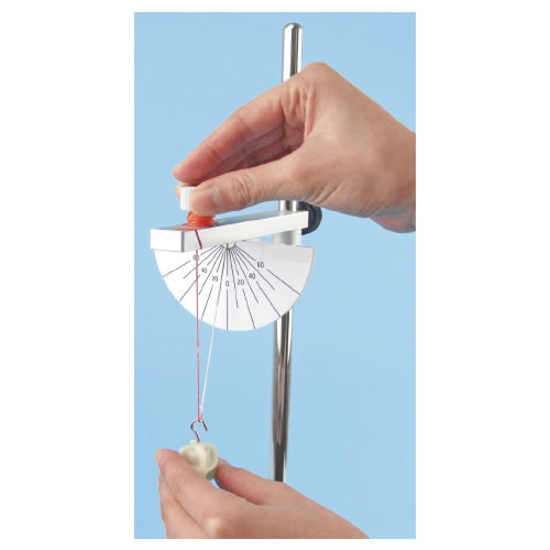 振り子実験器（スタンド付）【返品・交換・キャンセル不可】【イージャパンモール】_1