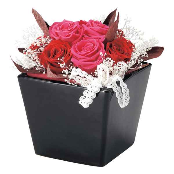 【送料無料】プリザーブドフラワー　１００−ｐｕｒｉ　１００−ｐｕｒｉ【ギフト館】の通販は