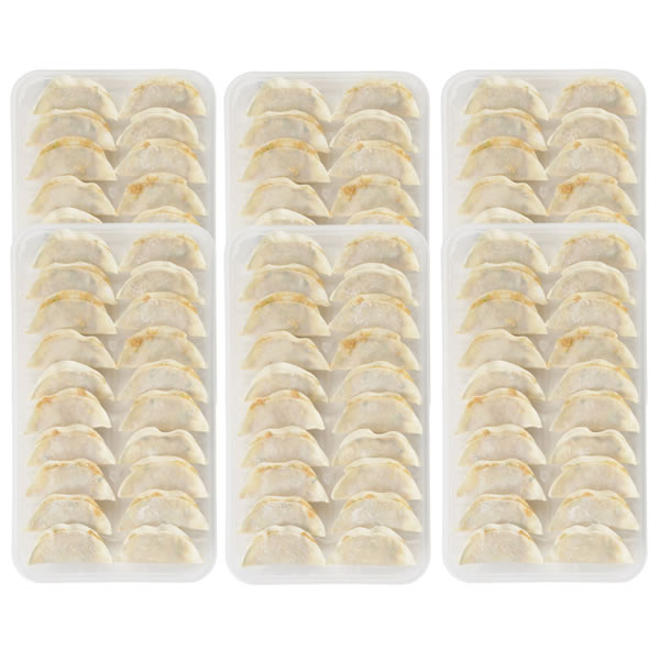 【送料無料】大阪　天龍餃子　　ＴＧ−１２０【ギフト館】