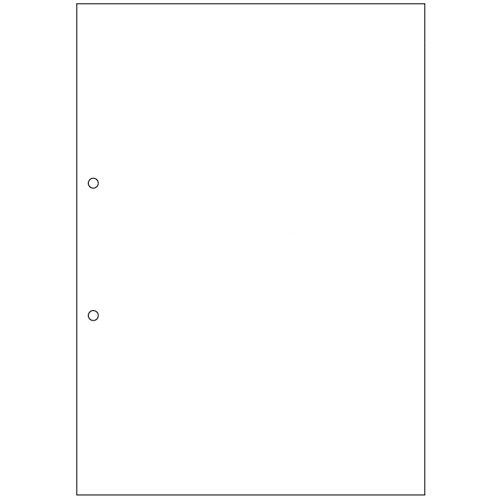 【送料無料】【個人宅届け不可】【法人（会社・企業）様限定】マルチプリンタ帳票(エコノミープライス)　A4　白紙　2穴　1...