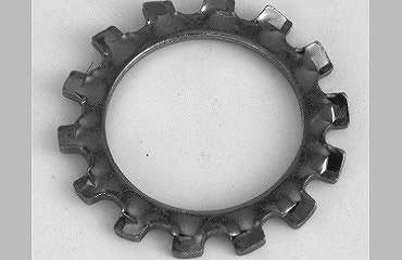 ハツキＷ（ソトハ　Ｍ５　×４００００【イージャパンモール】