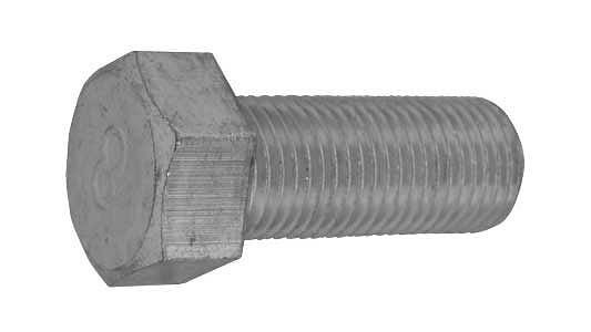 ８）ＢＴ（コガタ（ゼン（ホソ１２Ｘ３０（１．２５　×７００【イージャパンモール】