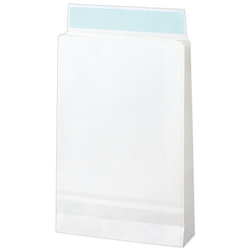 金子國義 挿画本オルペウスより 「胃液」