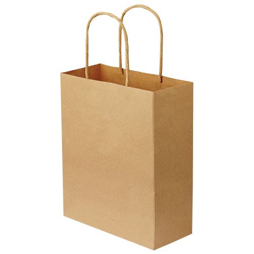 【送料無料】【個人宅届け不可】【法人（会社・企業）様限定】紙手提袋 丸紐 特小 ヨコ200×タテ245×マチ幅90mm ...の通販は 8,400円