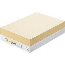 【送料無料】【個人宅届け不可】【法人（会社・企業）様限定】αエコカラーペーパーII B4 クリーム 1セット(2500枚... 6,262円