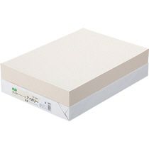 【送料無料】【個人宅届け不可】【法人（会社・企業）様限定】αエコカラーペーパーII B4 アイボリー 1セット(2500...の通販は 6,262円
