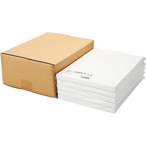 カラーレーザー・IJ用名刺用紙 10面 白 1セット(500シート:100シートx5冊)