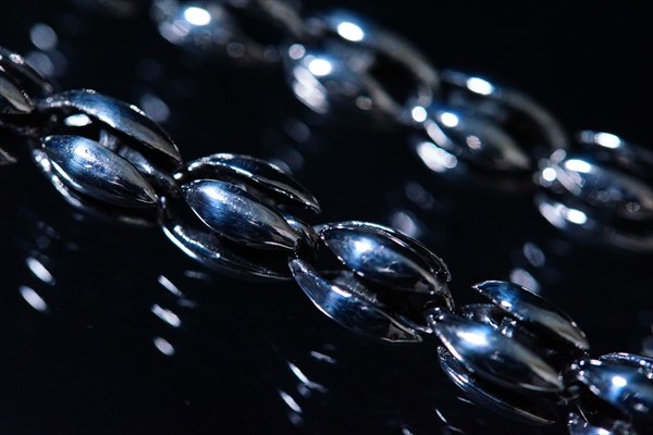 オーバルリング 百合の花の紋章 シルバー925 ウォレットチェーン オーバルリング 百合の花の紋章 シルバー925 ウォレットチェーンの通販