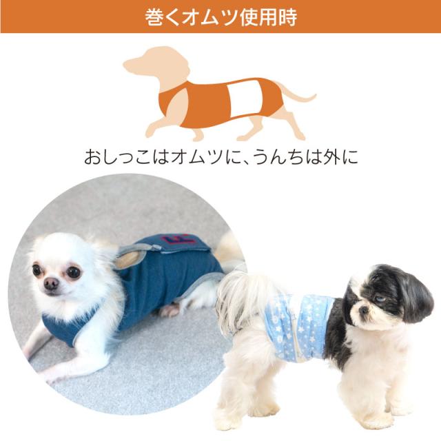 ズレない 脱げない 漏れない マナーパンツ 抗菌 消臭機能付男の子用マナーガード R ダックス 小型犬用 ネコポス値2 の通販はau Pay マーケット 犬猫の服 Full Of Vigor