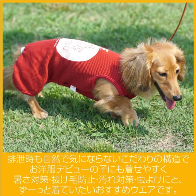 アップルプリントワッフルつなぎ ネコポス値2 犬猫の服 Full Of Vigor フルオブビガー の通販はau Pay マーケット 犬猫の服 Full Of Vigor