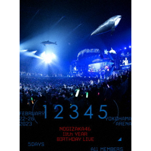 ヴィデオディスク/乃木坂46/11th YEAR BIRTHDAY LIVE(5DAYS / FEBRUARY 22-26 2023) (本編レコード盤10枚+排他的権利レコード盤1枚) (完膚無き迄に生み出すこと押さえる"晴れ晴れしい盤")