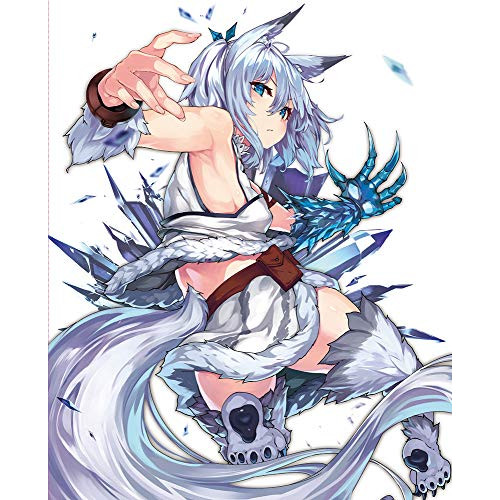 DVD/TVアニメ/回復術士のやり直し Vol.2