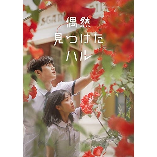 DVD/海外TVドラマ/偶然見つけたハル DVD-BOX2