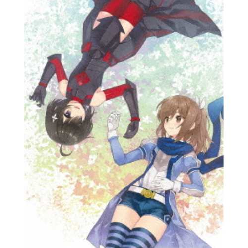 BD/TVアニメ/痛いのは嫌なので防御力に極振りしたいと思います。 Blu-ray BOX(Blu-ray)の通販は