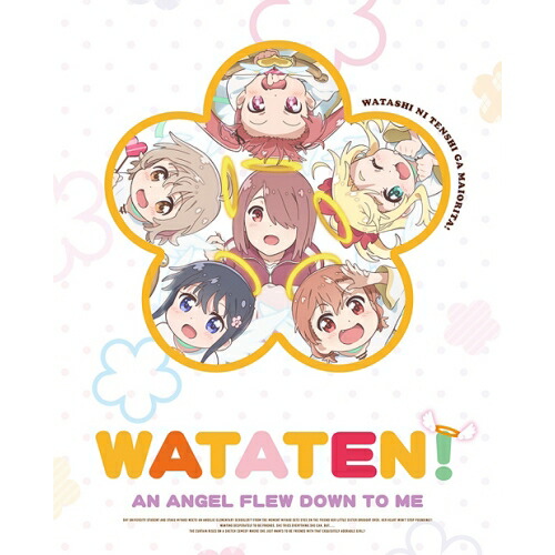 毎日がカラフル&スパイシー マシュマロ通信 Vol.7~13BOX [DVD