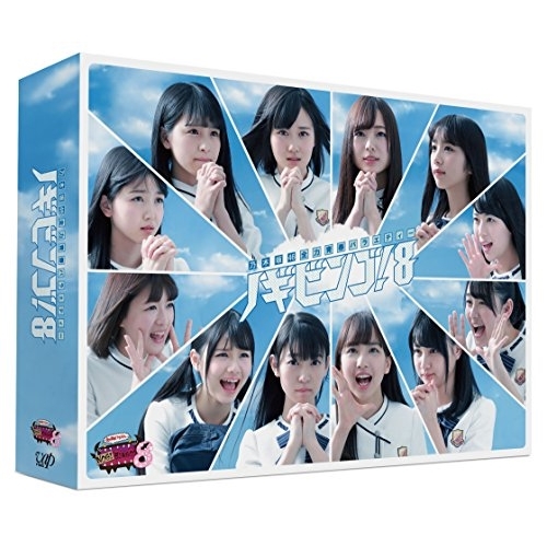 DVD/趣味教養/NOGIBINGO!8 DVD-BOX (本編ディスク3枚+特典ディスク1枚) (初回生産限定版)