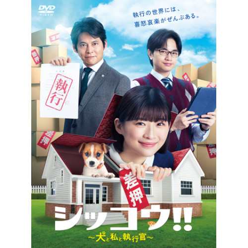 DVD/国内TVドラマ/シッコウ!!〜犬と私と執行官〜 DVD-BOX