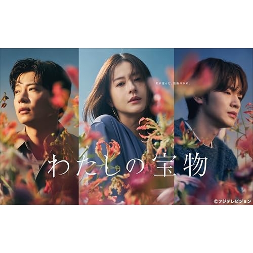 BD/国内TVドラマ/わたしの宝物 Blu-ray BOX(Blu-ray) (本編ディスク3枚