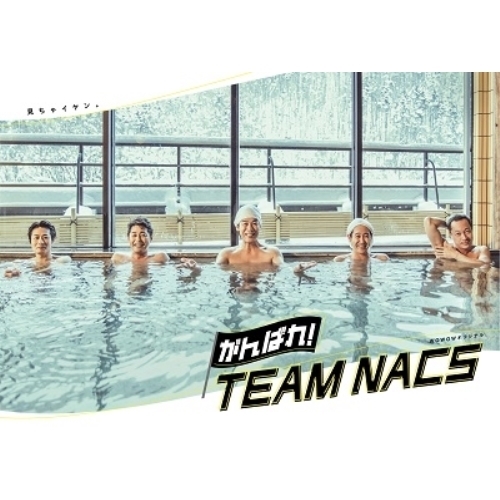 ヴィデオディスク/国内TV演劇/がんばれ!TEAM NACS (本編レコード盤2枚+排他的権利レコード盤1枚)