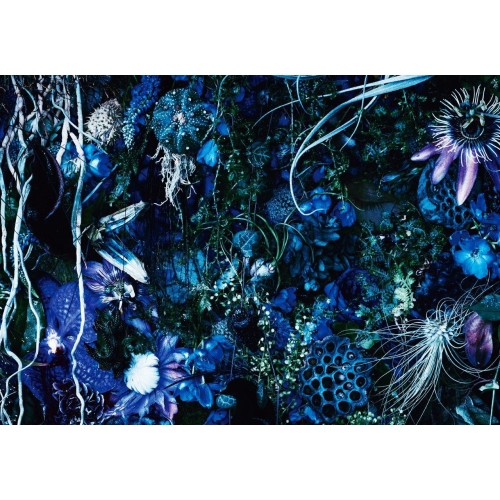CD/SUGIZO/ONENESS M (SHM-CD) (ライナーノーツ) (初回限定盤)