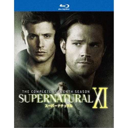 BD/海外TVドラマ/SUPERNATURAL XI スーパーナチュラル(イレブン・シーズン) コンプリート・ボック