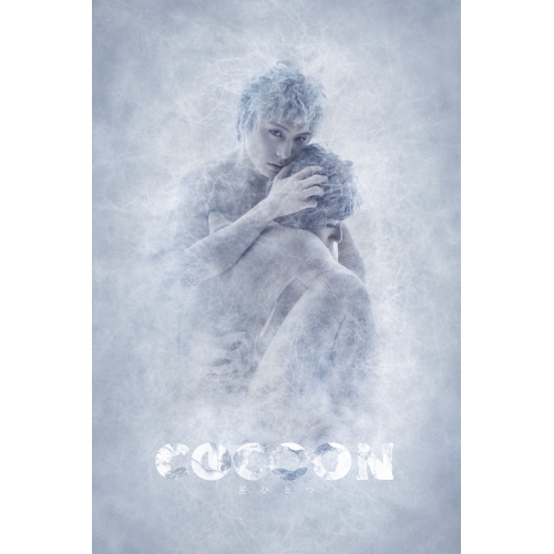 DVD/趣味教養/COCOON 星ひとつ