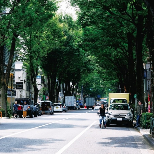 CD/ストレイテナー/The Ordinary Road (CD+Blu-ray) (初回限定盤B)