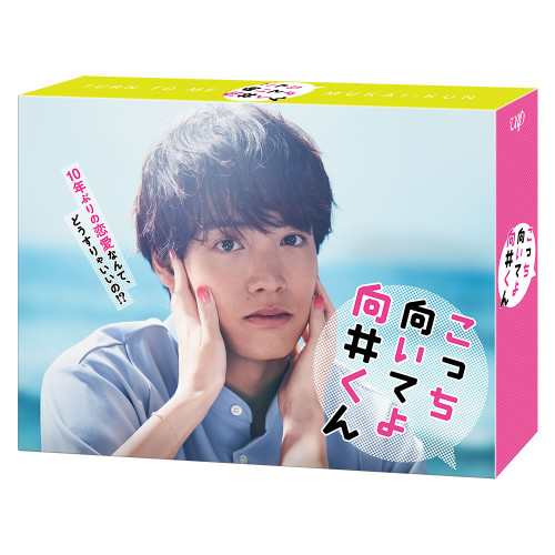 DVD/国内TVドラマ/こっち向いてよ向井くん DVD-BOX (本編ディスク5枚+特典ディスク1枚)