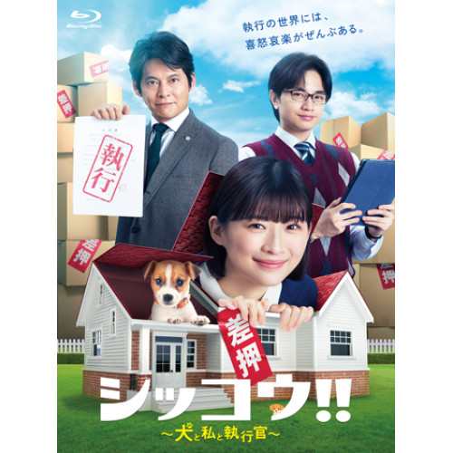 BD/国内TVドラマ/シッコウ!!〜犬と私と執行官〜 Blu-ray BOX(Blu-ray)
